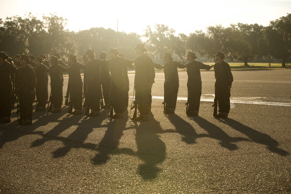 Papa Company Drill