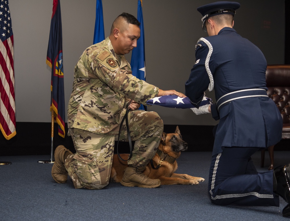 Time to rest those paws