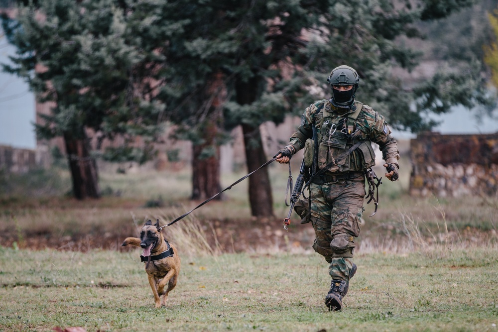 Sprinting with the K-9