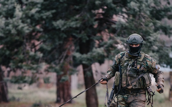 Sprinting with the K-9