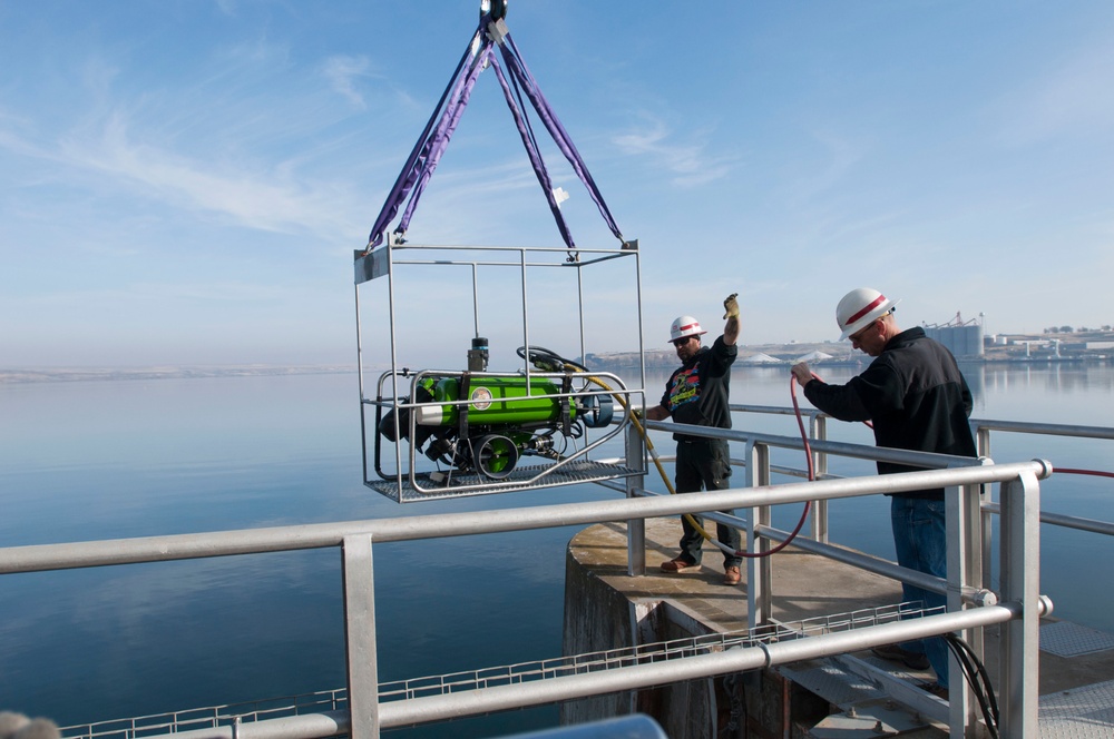 ROV at McNary