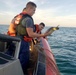 Station South Padre Island rescues 3 green sea turtles near Brownsville, Texas