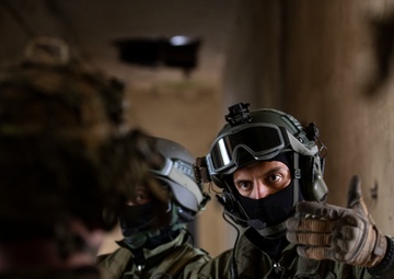 US and Greece demonstrate movement superiority through joint exercise