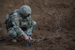 A Soldier of Adaptability