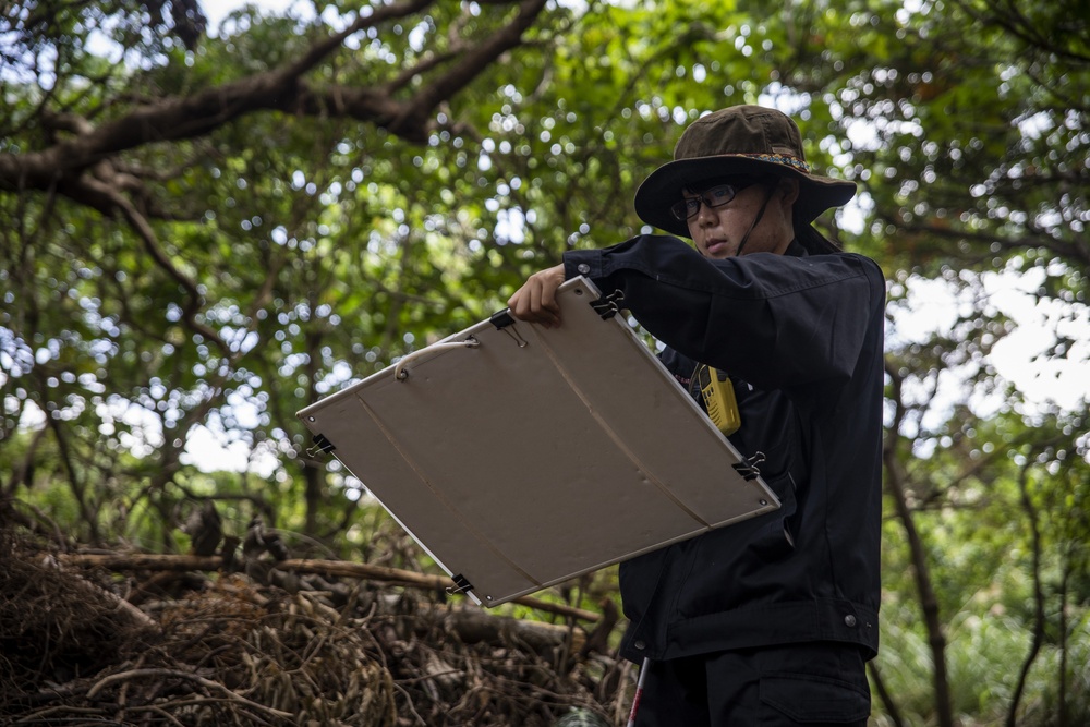 Digging for the past: American and Japanese archaeologists partner to excavate Futenma dig site