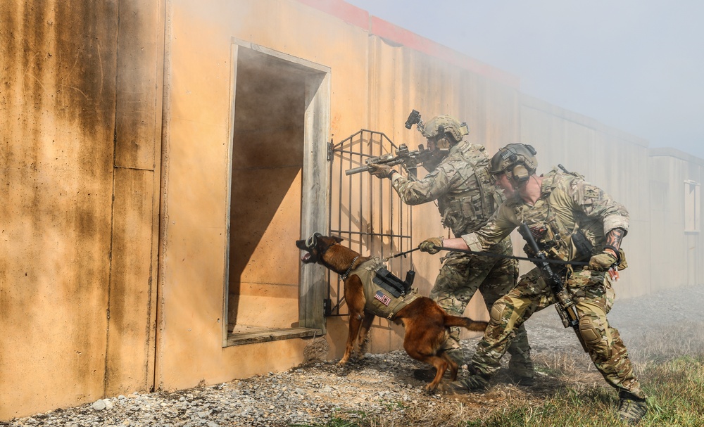 Green Berets simulate clearing a room with their Military Working Dog
