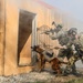 Green Berets simulate clearing a room with their Military Working Dog
