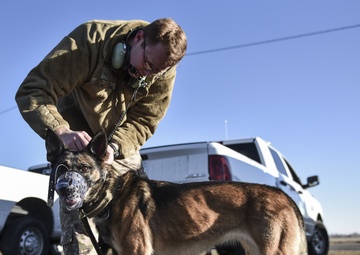 Fairchild Military Working Dogs participate in Huey training