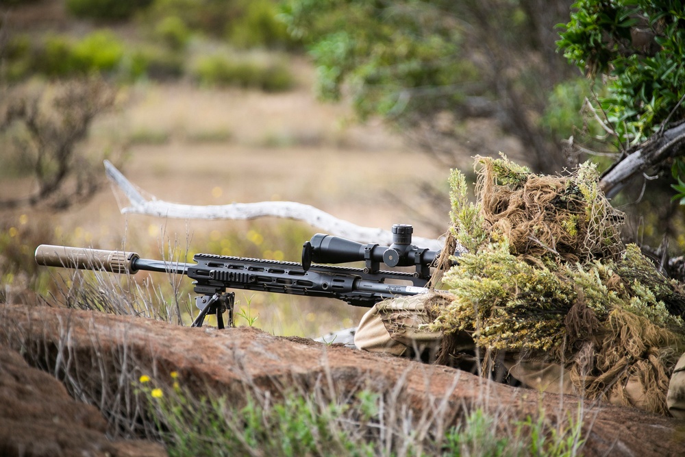 2-14 CAV Fire Support Coordination Exercise