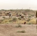 Training Team Bravo with Spanish Trainers - Tactical Movement and Ambush Training