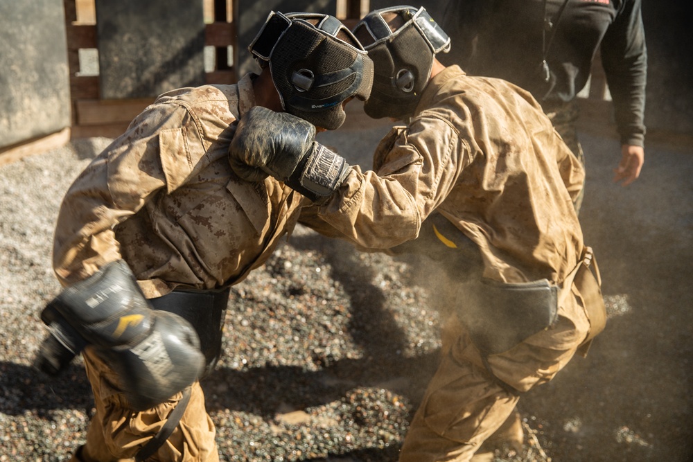 Mike Company Crucible