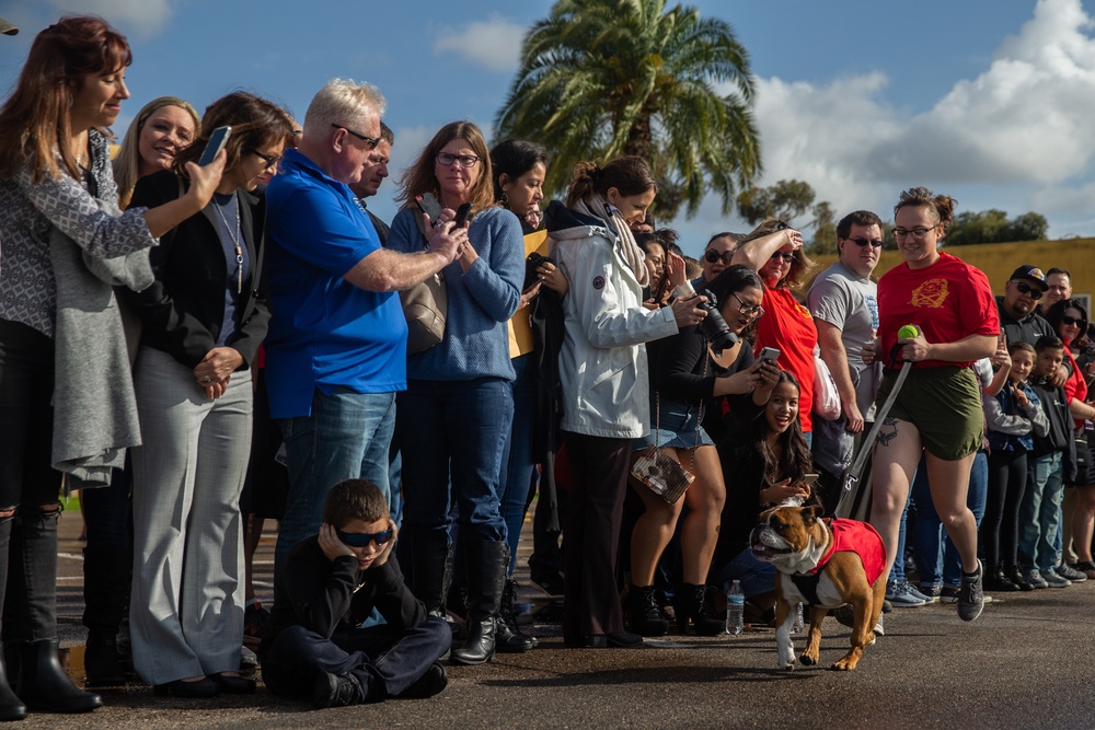 Delta Company Motivational Run
