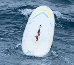 Coast Guard seeks help identifying owner of windsurfing board found off Kauai