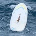 Coast Guard seeks help identifying owner of windsurfing board found off Kauai