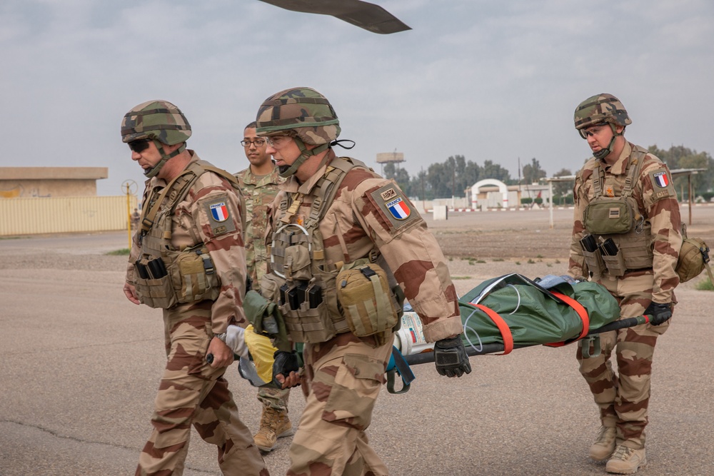 U.S. and French Coalition medical training exercise
