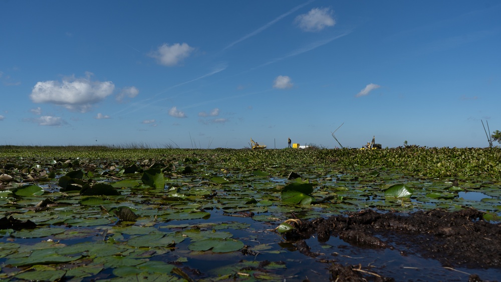 Harvesting the Invasive Water Hyacinth
