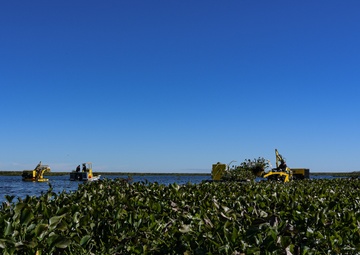 Harvesting the Invasive Water Hyacinth