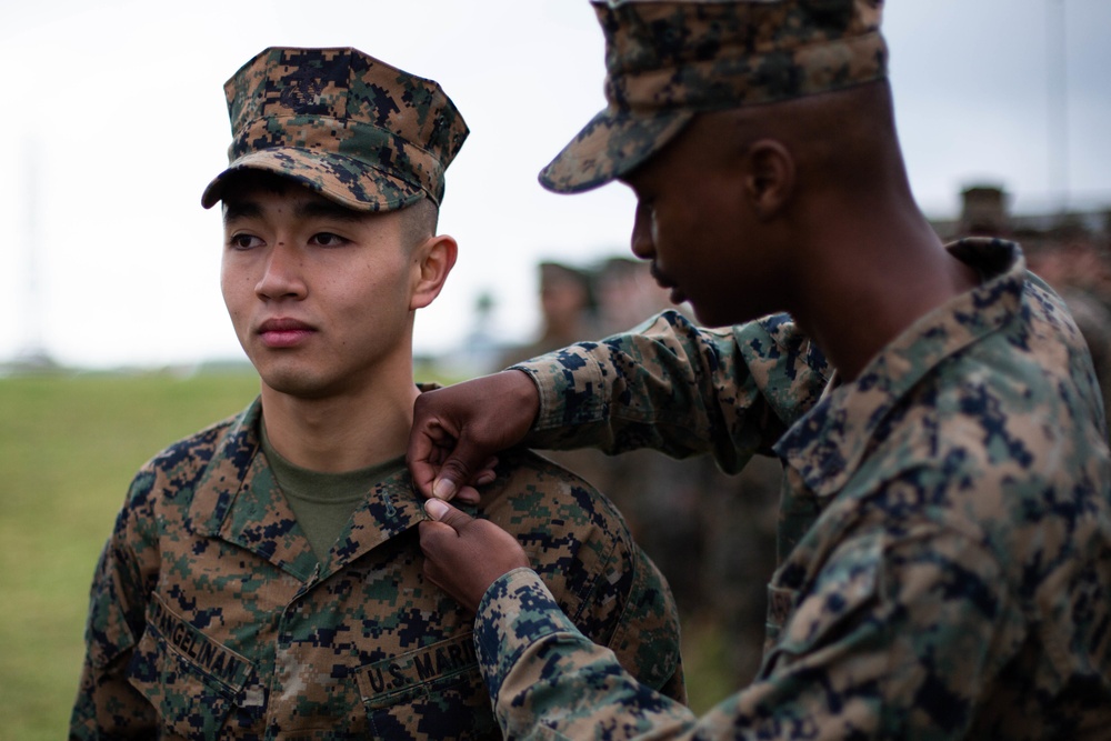 Marine promotions for Headquarters Company, Headquarters Battalion, 3rd Marine Division