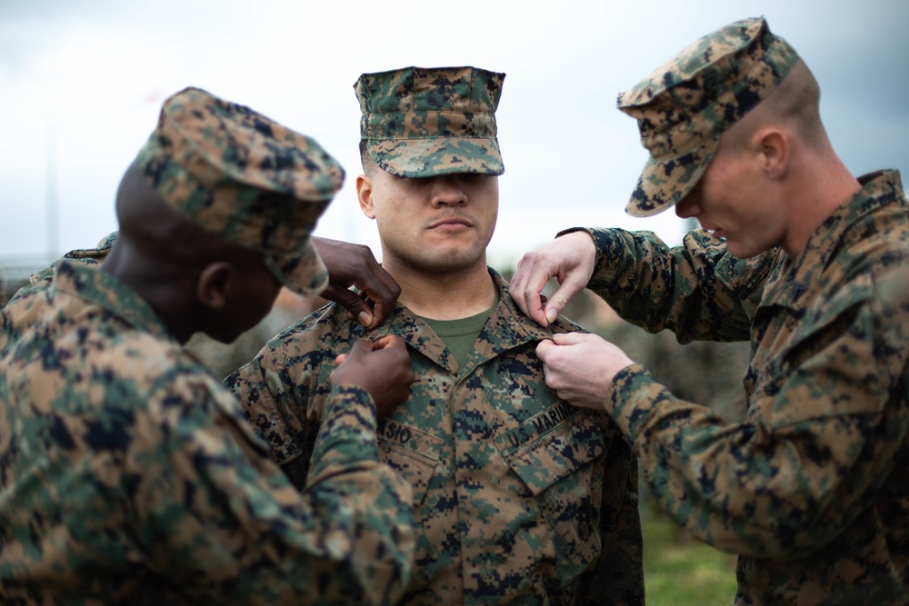 Marine promotions for Headquarters Company, Headquarters Battalion, 3rd Marine Division
