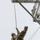 ROTC Madison Wisconsin Area students rappel and build teamwork on the confidence course at Total Force Training Center Ft. McCoy