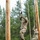 ROTC Madison Wisconsin Area students rappel and build teamwork on the confidence course at Total Force Training Center Ft. McCoy