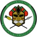 Hickam Sky Warrior