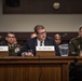 Speaking at the Senate Housing Hearing
