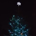 Christmas tree lighting ceremony