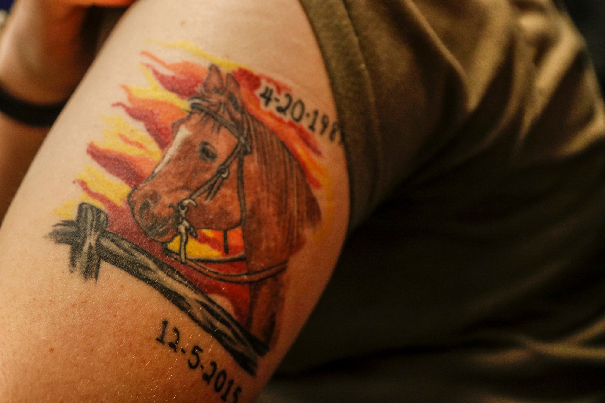 1hrs Permanent Horse Tattoo Rs 600square inch Inkblot Tattoo  Art Studio   ID 23891973912