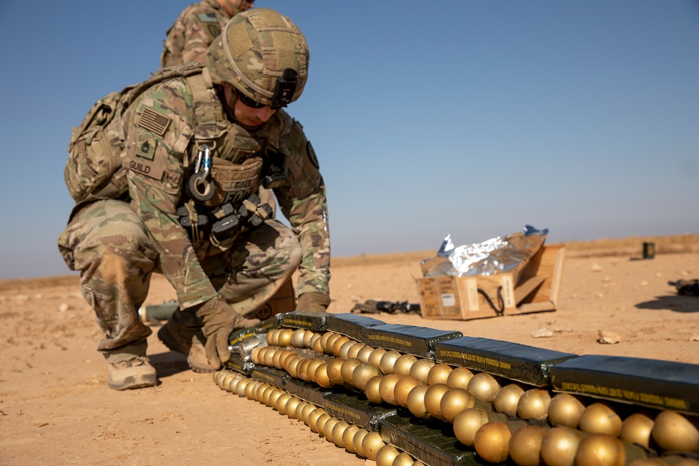 Explosive Ordnance Disposal Exercise with the 663rd Ordnance Company