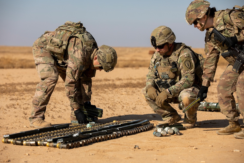 Explosive Ordnance Disposal Exercise with the 663rd Ordnance Company