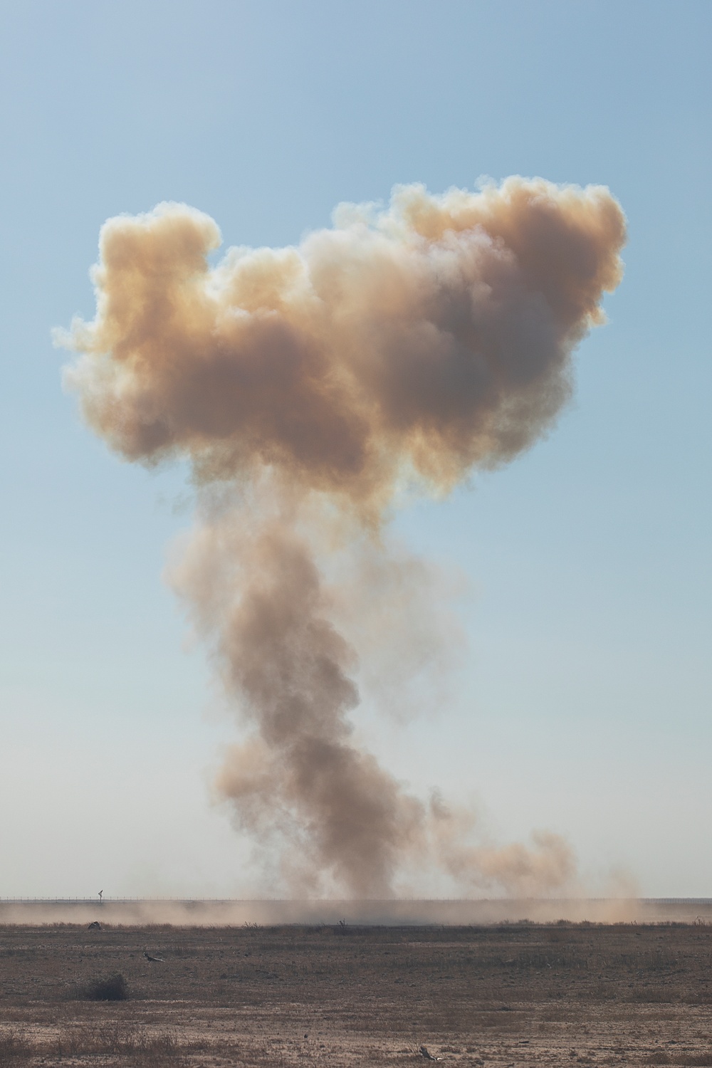 Explosive Ordnance Disposal Exercise with the 663rd Ordnance Company