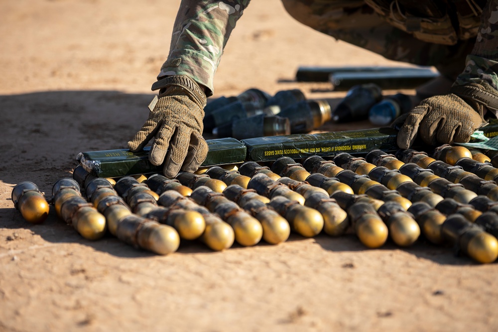 Explosive Ordnance Disposal Exercise with the 663rd Ordnance Company