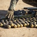 Explosive Ordnance Disposal Exercise with the 663rd Ordnance Company