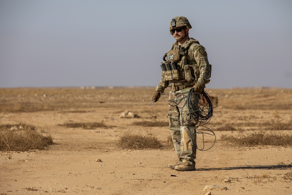 Explosive Ordnance Disposal Exercise with the 663rd Ordnance Company