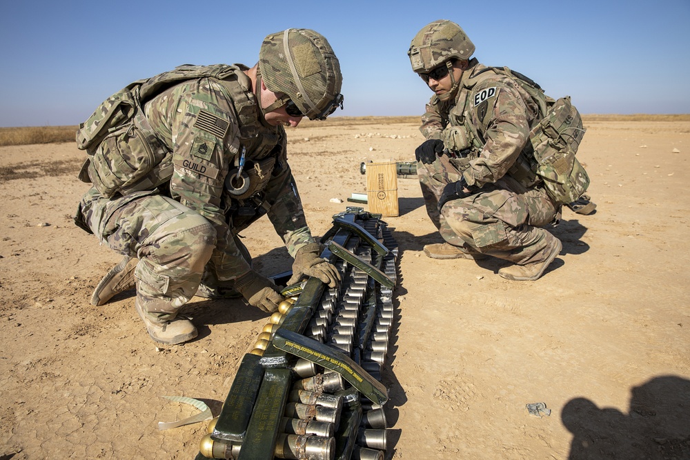 Explosive Ordnance Disposal Exercise with the 663rd Ordnance Company