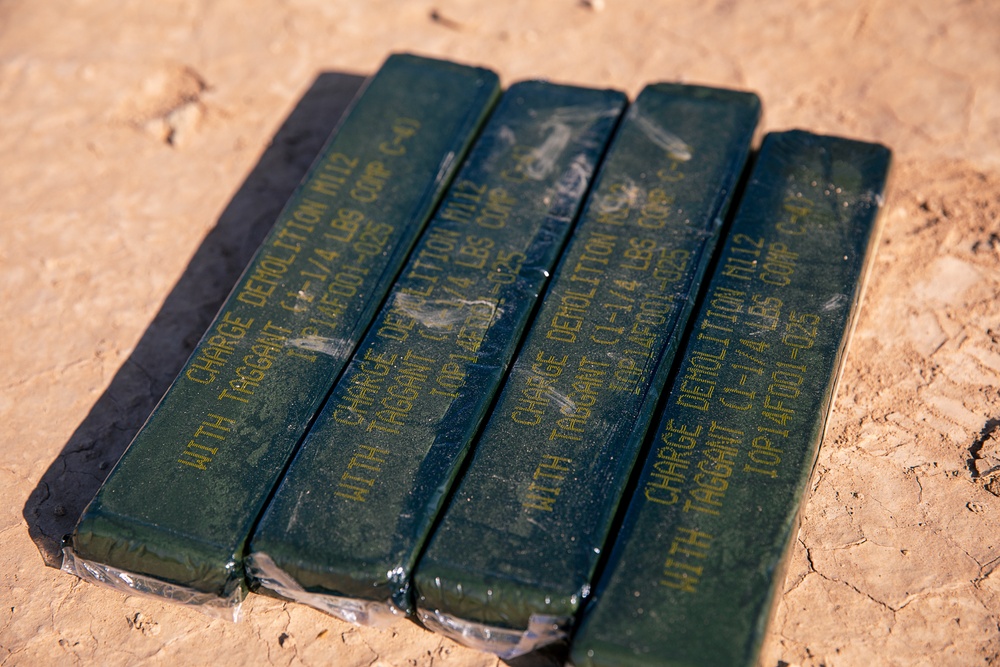 Explosive Ordnance Disposal Exercise with the 663rd Ordnance Company