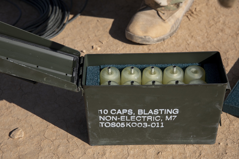 Explosive Ordnance Disposal Exercise with the 663rd Ordnance Company