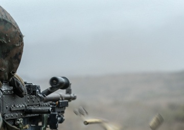 Marines with SOI-West engage targets during LAR Marine Course