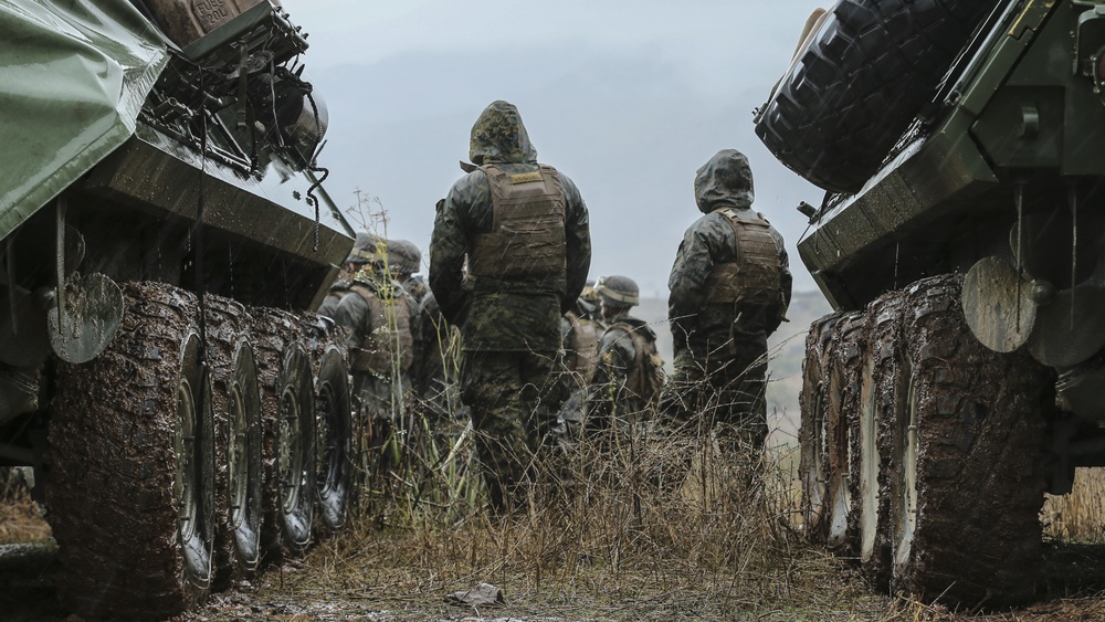 Marines with SOI-West engage targets during LAR Marine Course