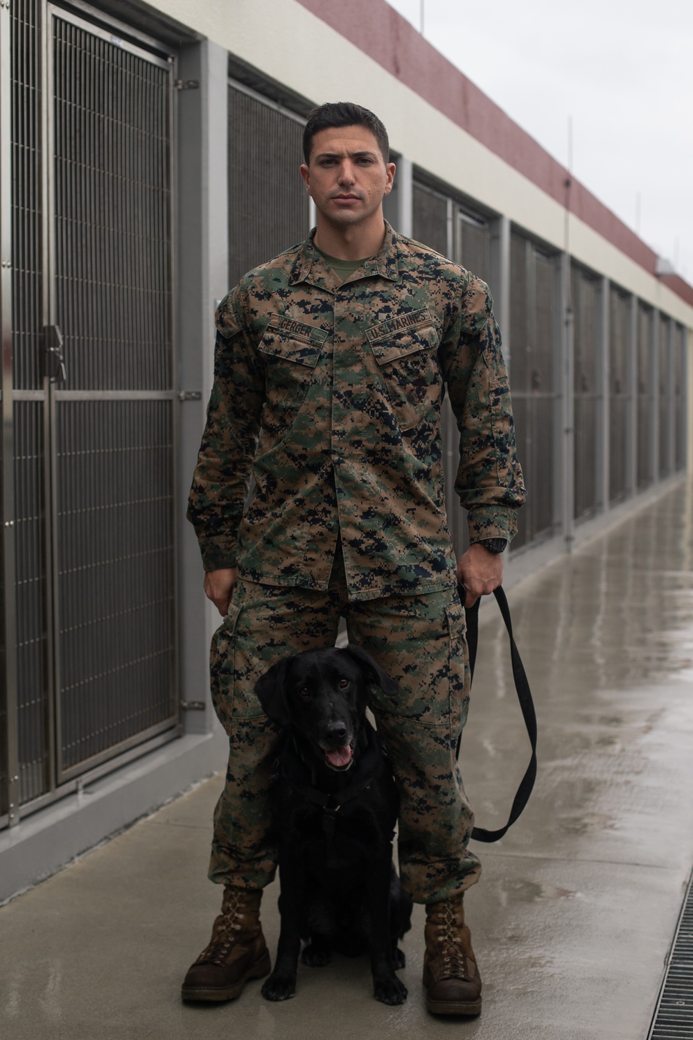 Meet our MEF | Working dog handler explains his role in III MEF