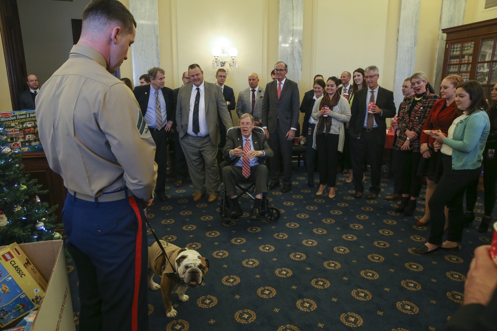 Marine Corps Mascot Lance Cpl. Chesty XV Visits Toys for Tots Event at the U.S. Senate