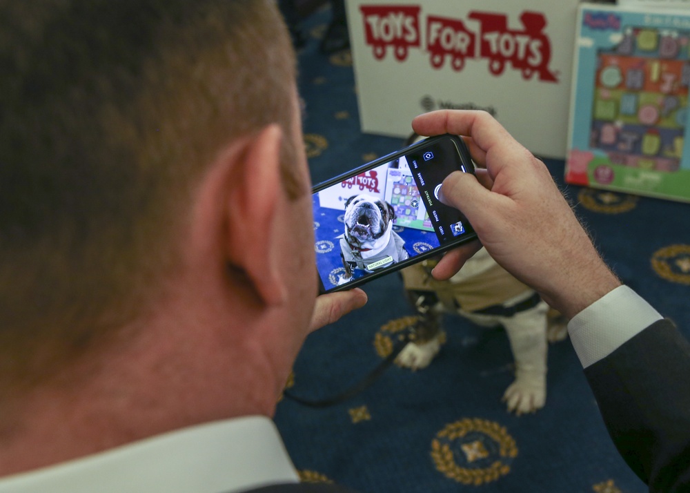 Marine Corps Mascot Lance Cpl. Chesty XV Visits Toys for Tots Event at the U.S. Senate