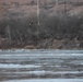 Bald eagles near record numbers around Fort Riley