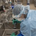 Sterilization In Process