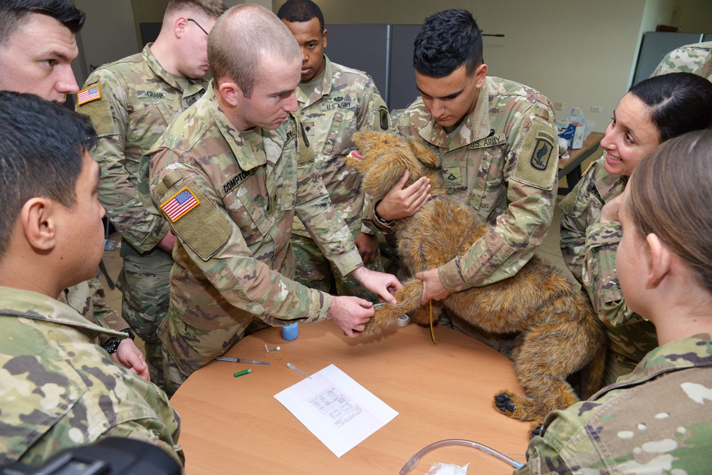Military Working Dog Medical Training
