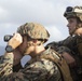 Marines call-for-fire with international militaries