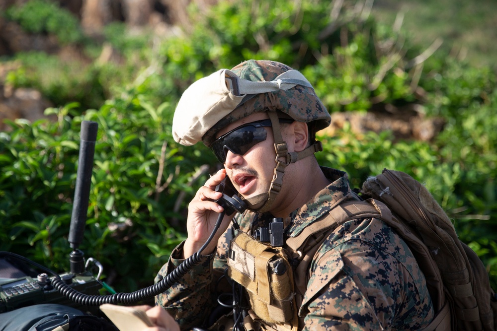 Marines call-for-fire with international militaries