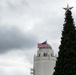 The rose behind the tree lighting