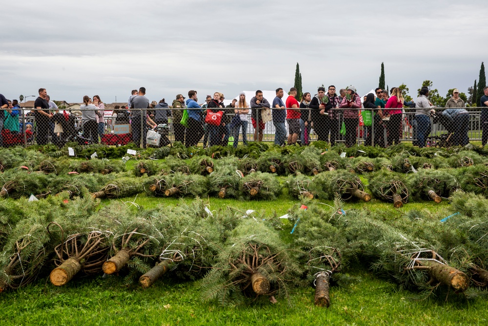 Pendleton service members, families attend Trees for Troops event